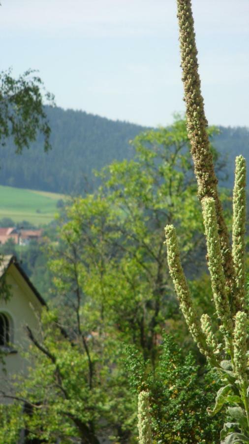Ferienwohnung Kaufmann Baiersbronn Zewnętrze zdjęcie