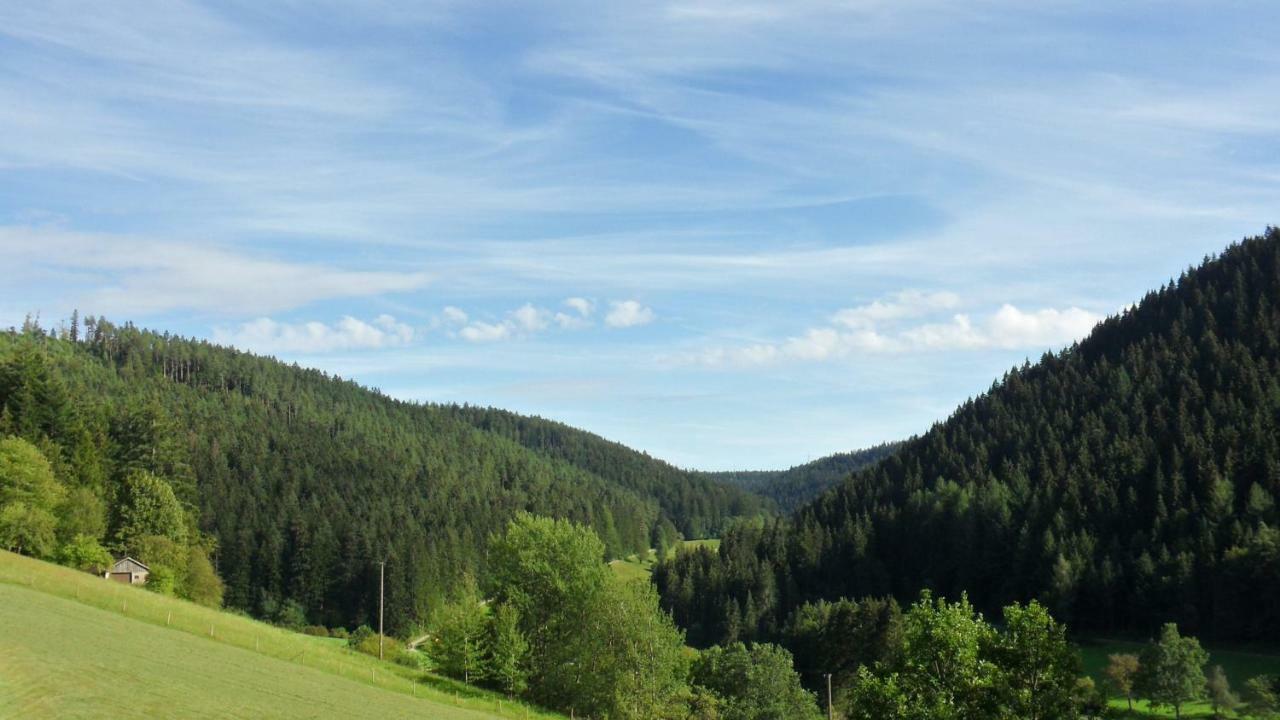Ferienwohnung Kaufmann Baiersbronn Zewnętrze zdjęcie