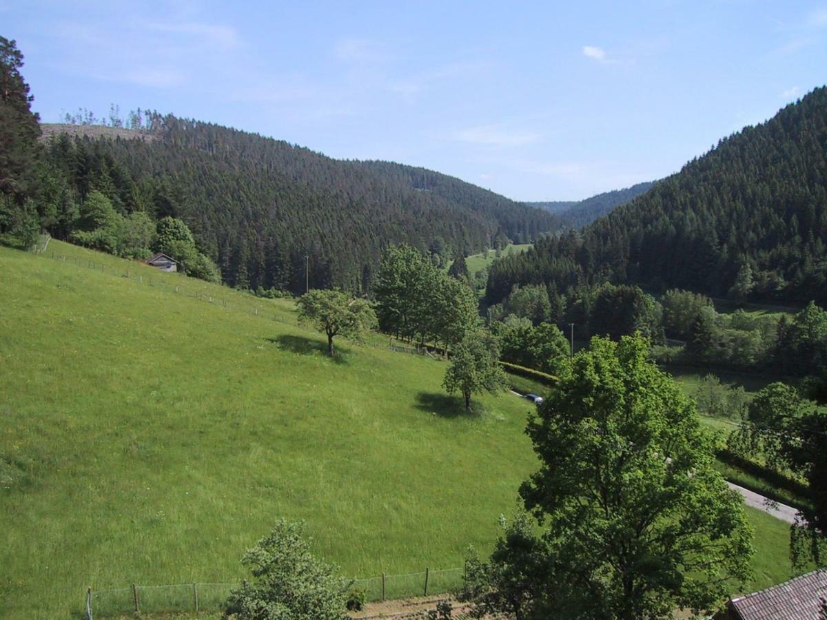 Ferienwohnung Kaufmann Baiersbronn Zewnętrze zdjęcie